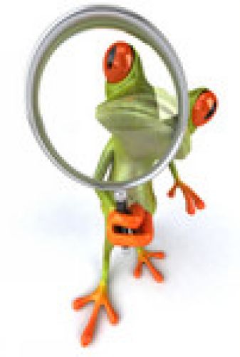 frog with looking glass